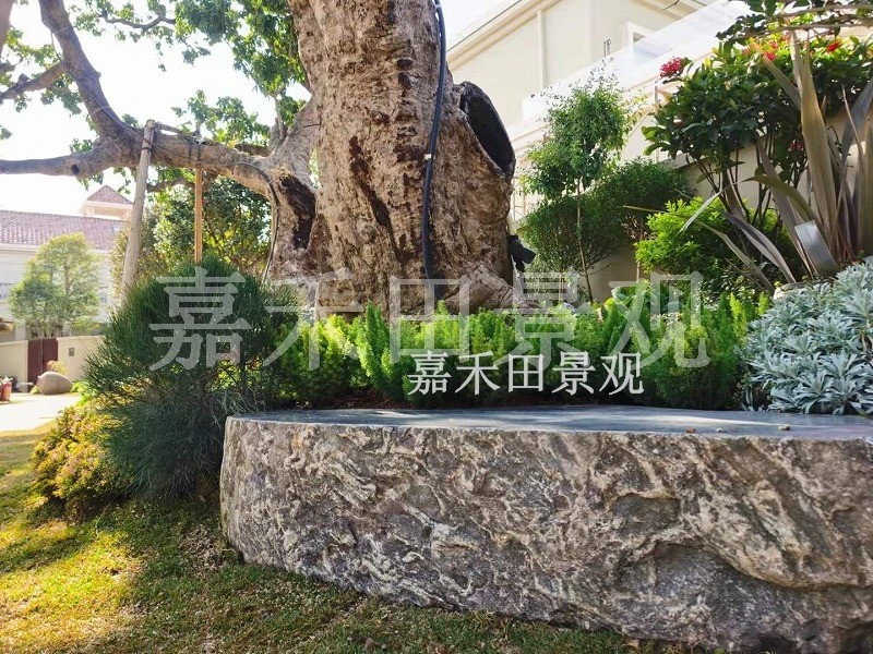 樹木在園林景觀設(shè)計(jì)中有哪些作用？